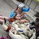 Illustration for article titled emLeague of Legends/em Cosplay Thats so Good it Doesnt Look Human